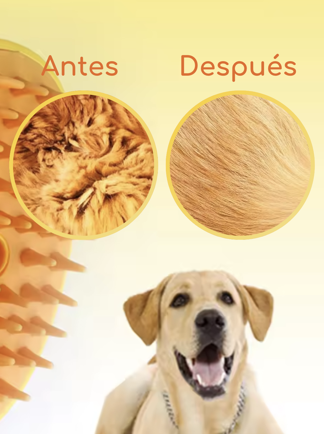 6. Cepillo de Vapor Cepillo para mascotas, limpiador 2 en 1 con tanque de agua e inyector, productos para mascotas, perros y gatos en Rionegro, Antioquia.